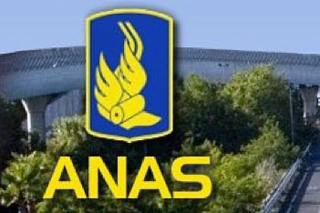 Anas