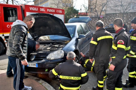 I Vigili del fuoco durante l'intervento per liberare il gatto
