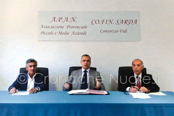 Un momento della conferenza dell'APAN