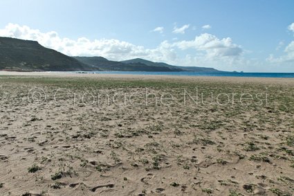 La spiaggia di Bosa Marina (© foto S. Novellu)