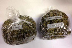 Alcuni sacchetti di marijuana sequestrata 