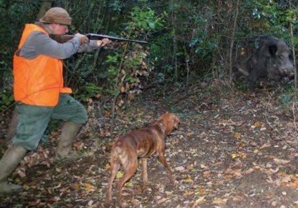 20130921_cacciatore-spara