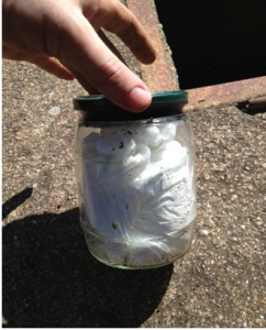 Una parte della dorga sequestrata