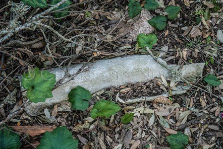 Amianto sul monte Ortobene (© foto Cronache Nuoresi)
