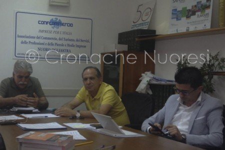 La presentazione del progetto