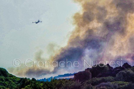 L'intervento del canadair nei pressi di Ottana (foto Satta)