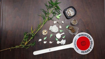 La marijuana sequestrata a Bosa