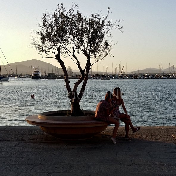 Il porticciolo di Alghero (© foto S.Novellu)