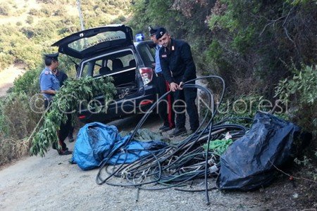 L'impianto di irrigazione posto sotto sequestro