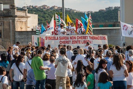 Manifestazione contro il Ddl 
