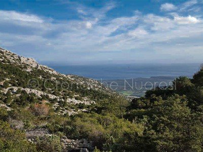 Una panoramica dal Monte Tuttavista