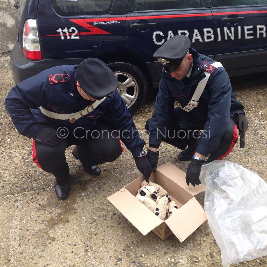 I Carabinieri con i cuccioli salvati