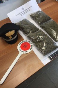 La Marijuana sequestrata