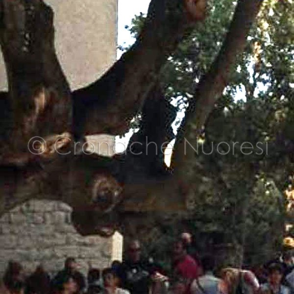 Uno scorcio dell'agriturismo di Sarule