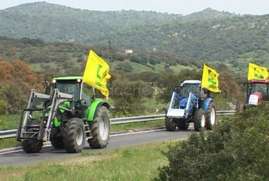Un momento della manifestazione di protesta dei pastori sulla statale 129 (foto Cronache Nuoresi)