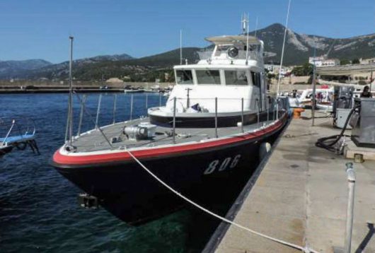I Carabinieri durante il recupero della tartaruga