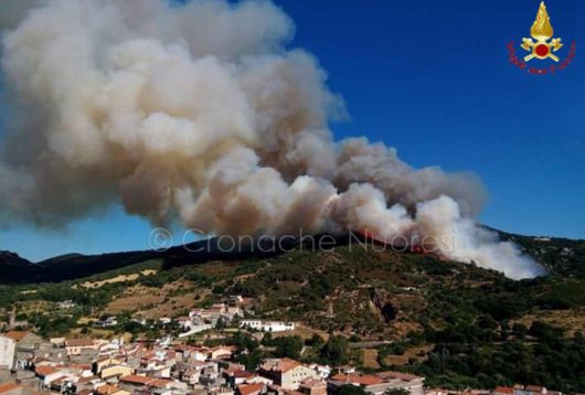 L'incendio sui monti di Orani (foto-VdF)