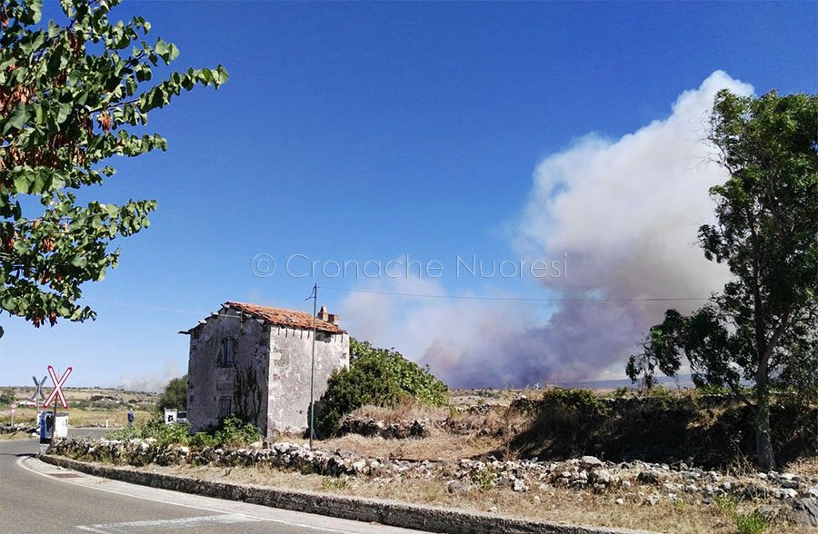 Le fiamme viste dalla zona di Tresnuraghes (foto Annamaria Angioi)