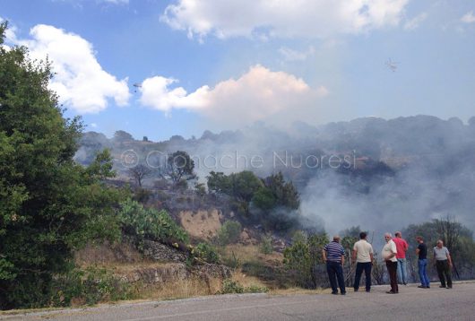 L'incendio alle porte di Sarule (foto-Angius)