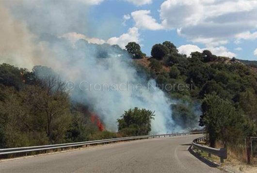 L'incendio alle porte di Sarule (foto Angius)