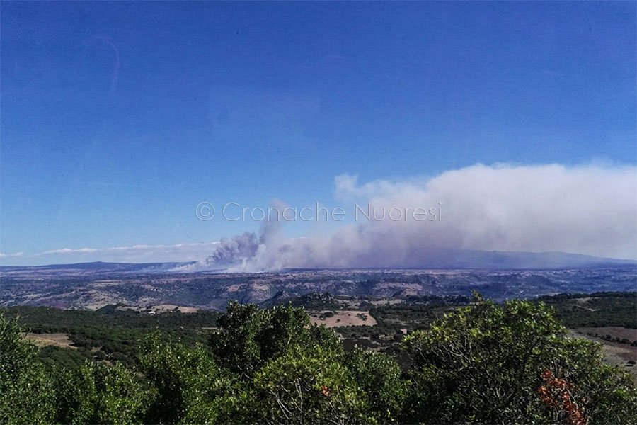 L'incendio nelle campagne del Montiferru (foto Annamaria Angioi)