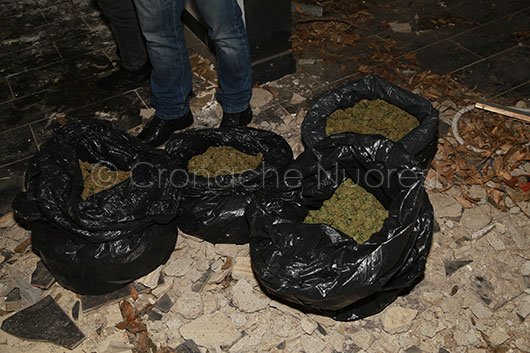 Una parte della droga sequestrata a Lotzorai