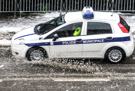 Un mezzo della Polizia Municipale (foto S.Novellu)