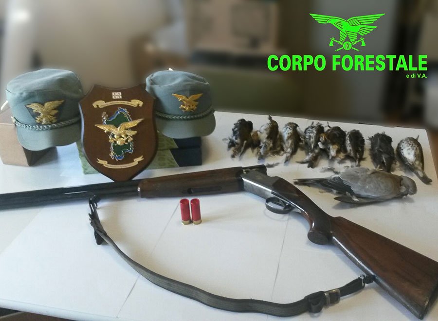 Fucile, cartucce e selvaggina sequestrati a Orosei