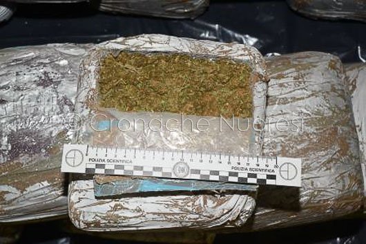 Una parte della droga sequestrata