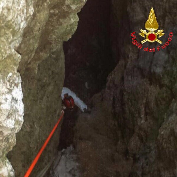 Il recupero dei cani da parte dei VVFF