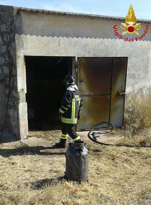 Pozzomaggiore, la stalla distrutta dall'incedio