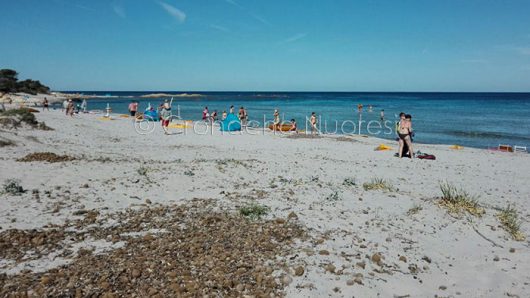 La spiaggia di Cala Ginepro dopo il passaggio della tromba d'aria