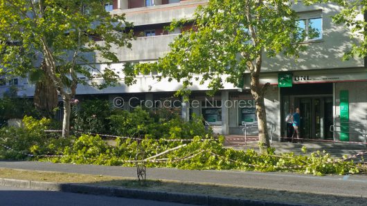 I rami dopo la potatura in via Manzoni