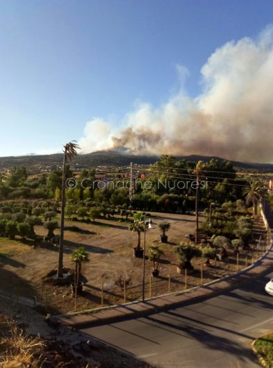L'incendio in prossimità delle case a San Teodoro