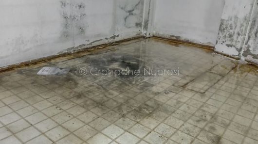 La biblioteca di Monte Gurtei allagata