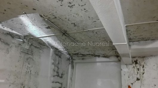 La biblioteca di Monte Gurtei allagata