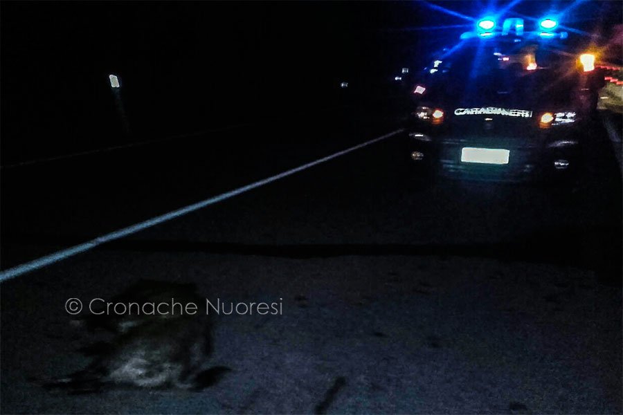 Carabinieri sulla scena dell'incidente