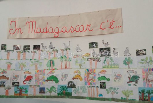 Il cartellone sul Madagascar
