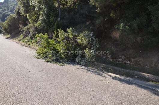 Orgosolo, il luogo in cui sono stati rapinati dei fucili i cacciatori