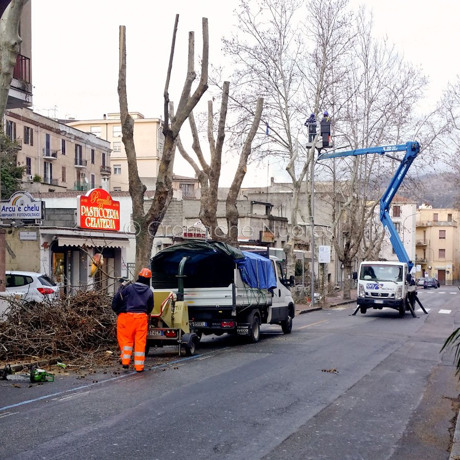 La potatura degli alberi eseguita nei giorni scorsi a Nuoro (foto S.Novellu)