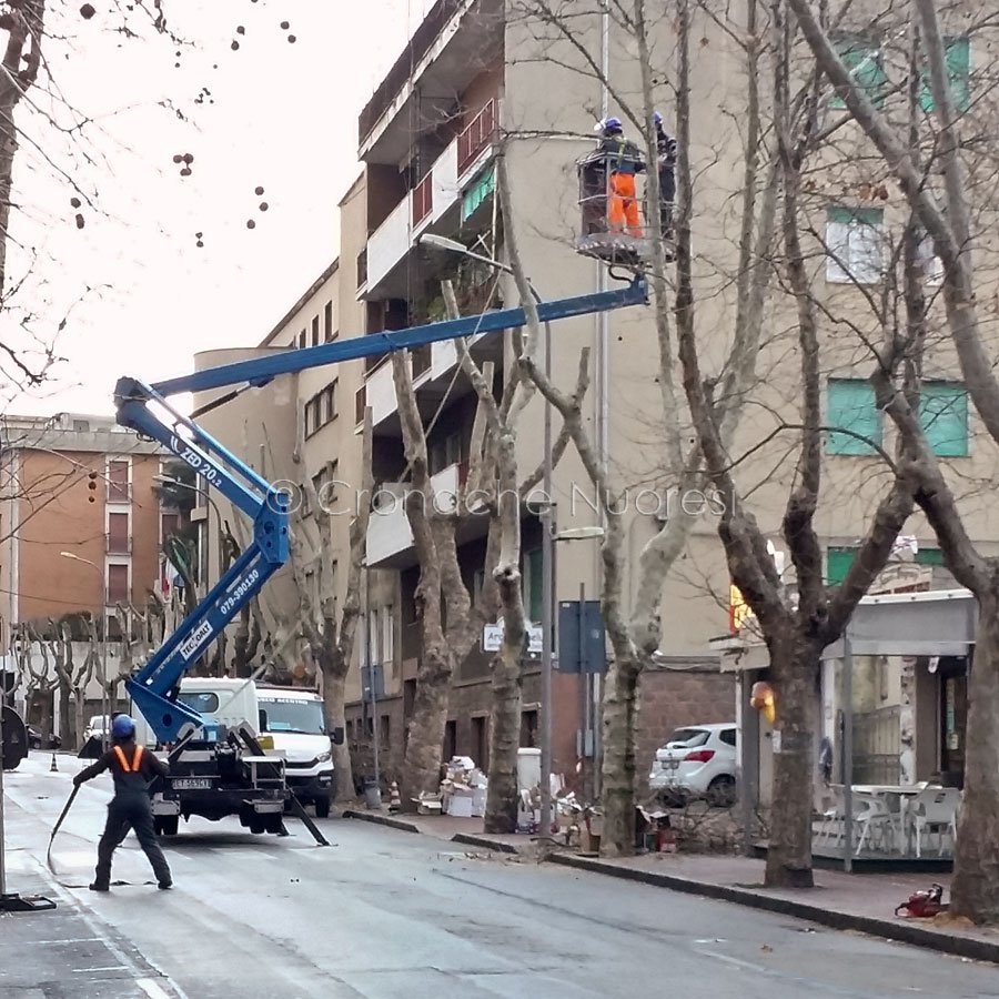 La potatura degli alberi eseguita nei giorni scorsi a Nuoro (foto S.Novellu)