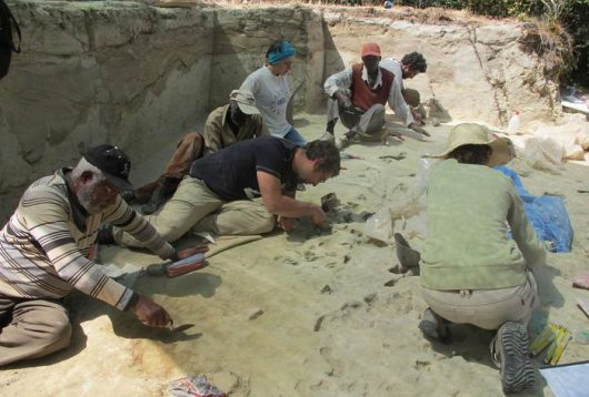 Gli archeologi sul sito della scoperta Gli archeologi sul sito della scoperta 