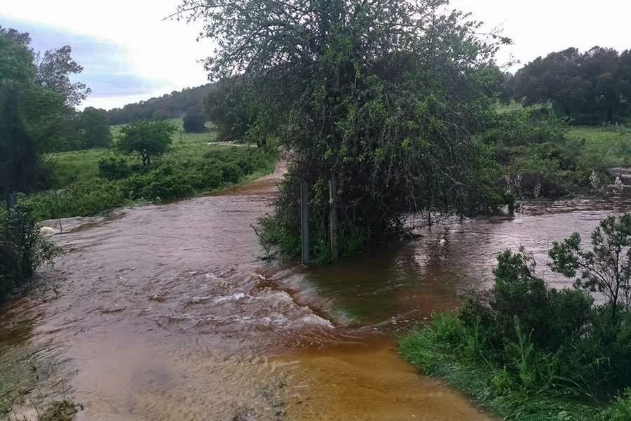 L'esondazione del torrente Cabutzia, nelle campagne di Austis