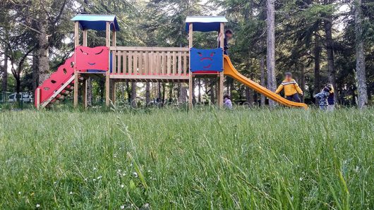 Nuoro, prato incolto al parco del monte Ortobene (foto S.Novellu)