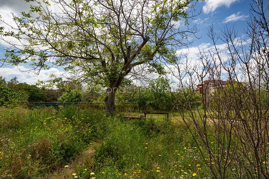 Nuoro, i Giardini di Alzheimer ricoperti di erbacce (foto S.Novellu)