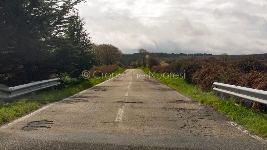 SP 43 Macomer-Santu Lussurgiu (foto S.Novellu)