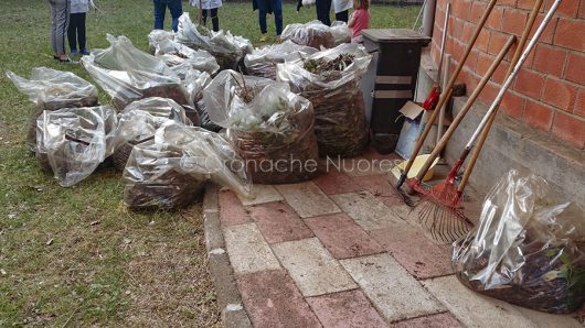 Sterpaglie tagliate dai genitori nel giardino di un'asilo comunale (foto S.Novellu)