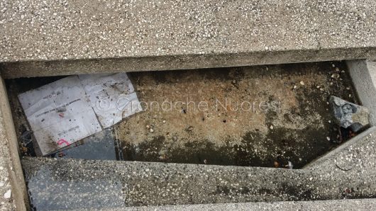 Nuoro, acqua stagnante e rifiuti nella gradinata sotto via Mereu (foto Cronache Nuoresi)