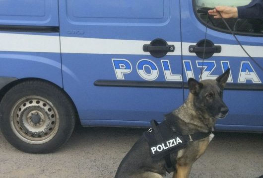 Unità cinofile Polizia di Stato