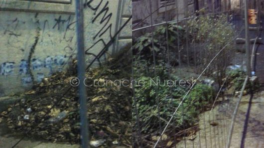 Immondizie in Via Carducci (foto Cronache Nuoresi)